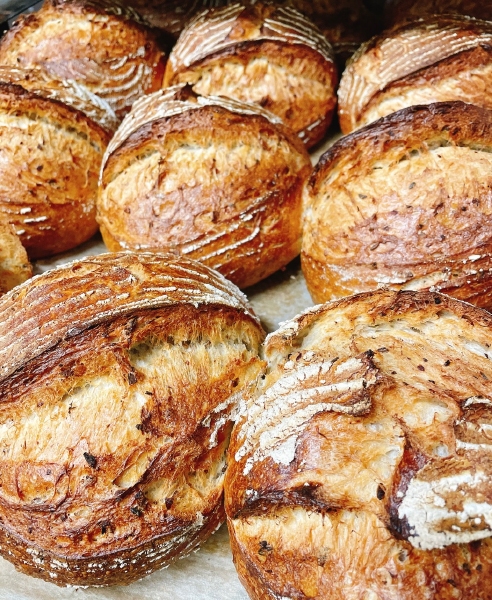 Brood